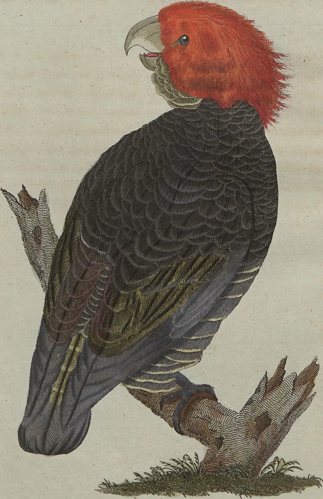 An illustration from (Band 7), 1810, leaf 64