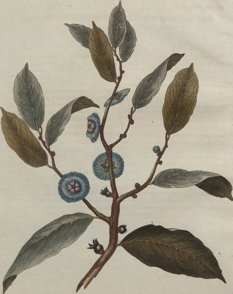 An illustration from (Band 7), 1810, leaf 89