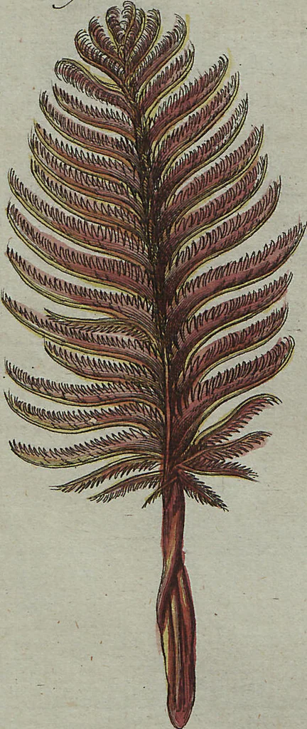 An illustration from (Band 7), 1810, leaf 94