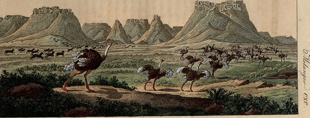 An illustration from (Band 8), 1813, leaf 123