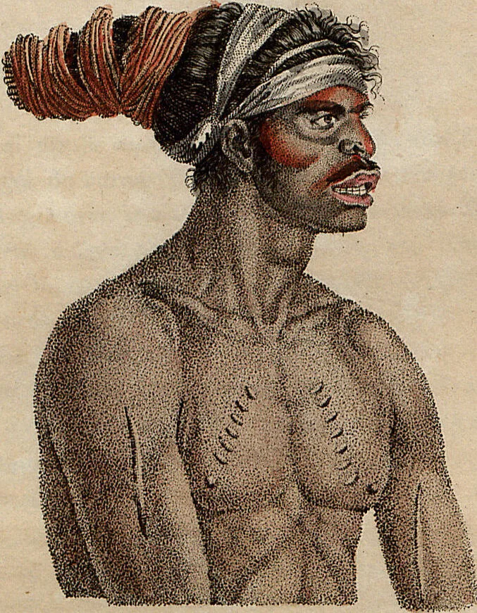 An illustration from (Band 8), 1813, leaf 141