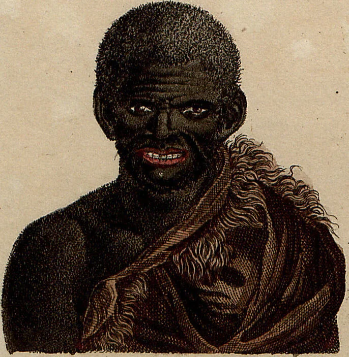 An illustration from (Band 8), 1813, leaf 141