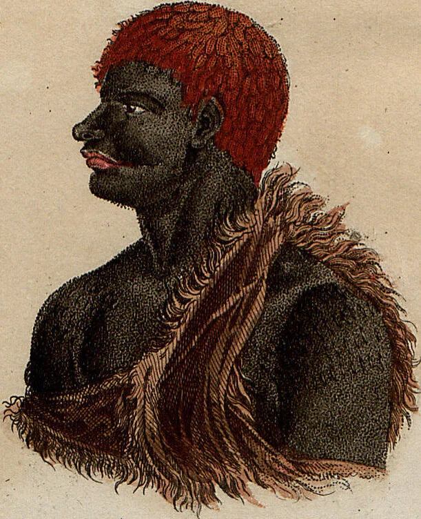 An illustration from (Band 8), 1813, leaf 141
