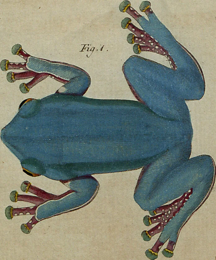 An illustration from (Band 8), 1813, leaf 15