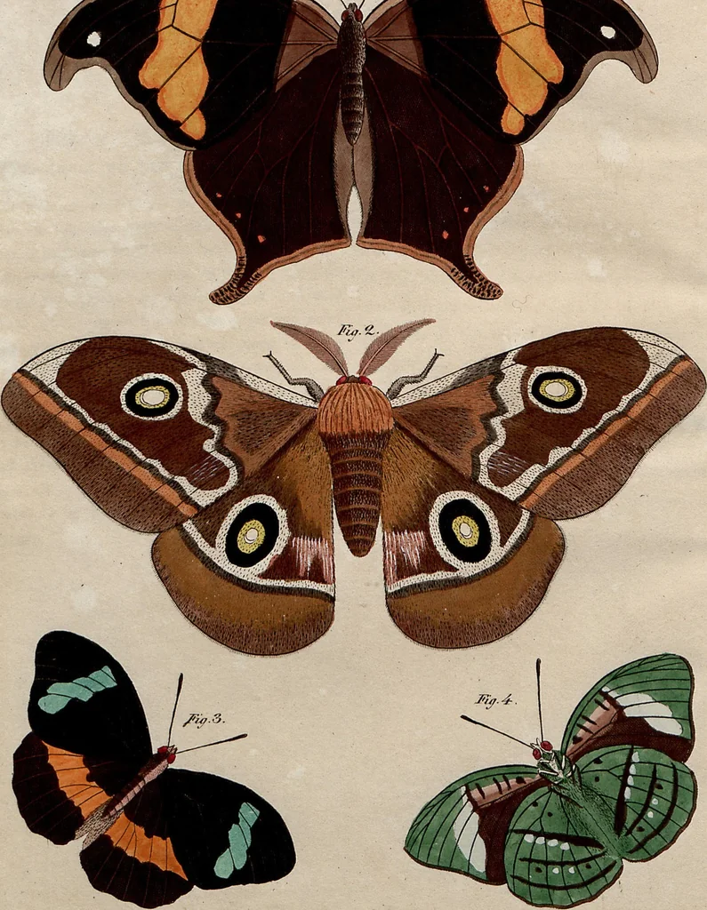 An illustration from (Band 8), 1813, leaf 150