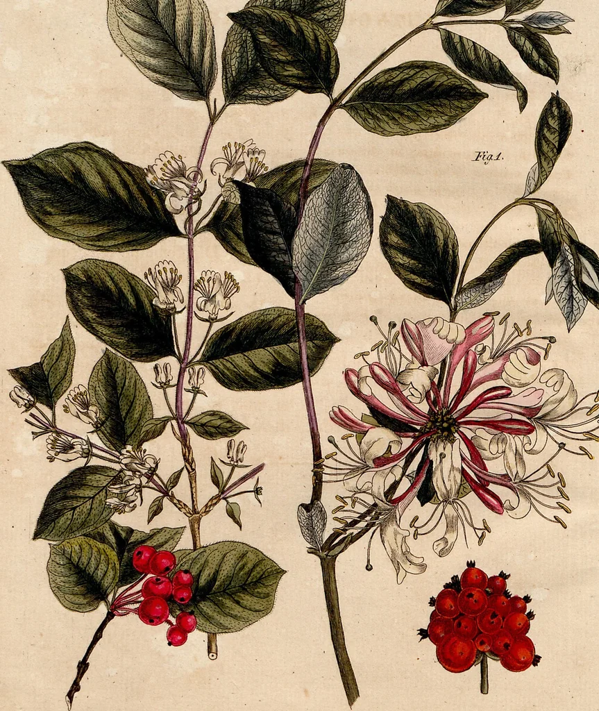 An illustration from (Band 8), 1813, leaf 168