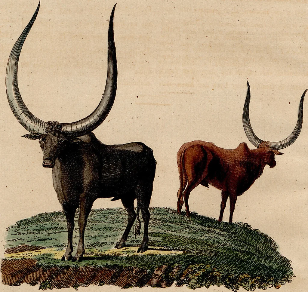 An illustration from (Band 8), 1813, leaf 174