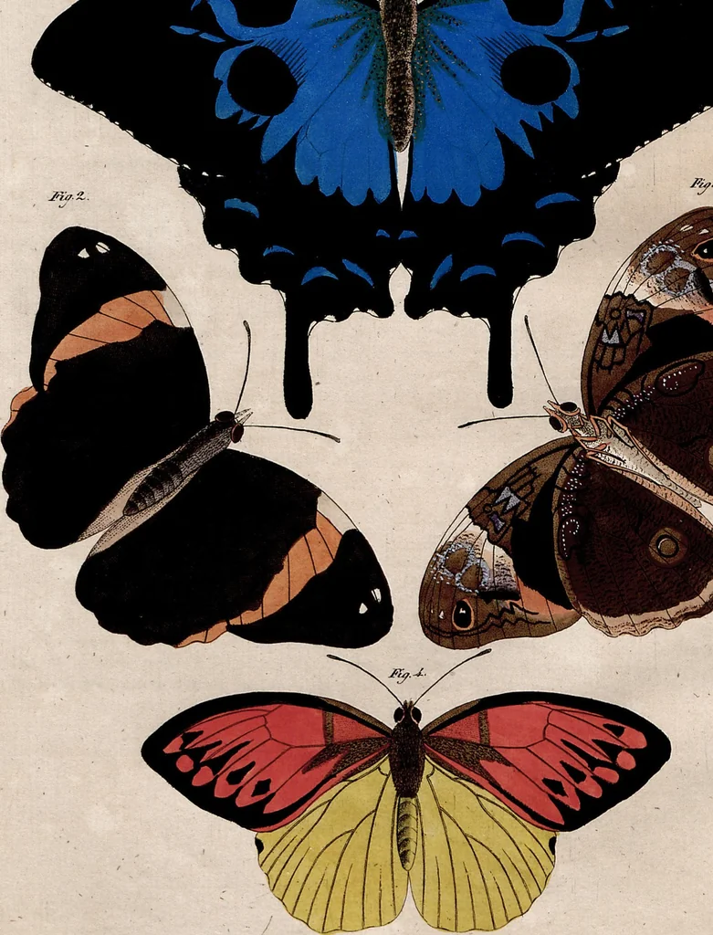 An illustration from (Band 8), 1813, leaf 183