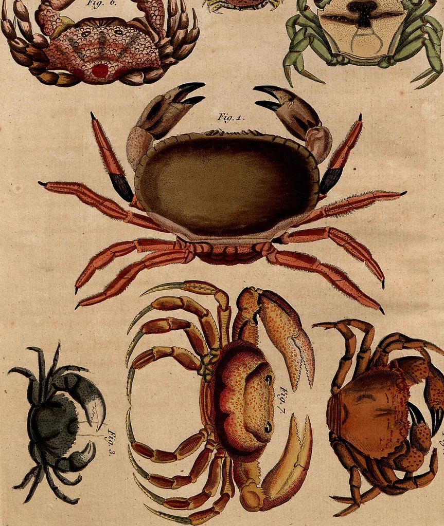 An illustration from (Band 8), 1813, leaf 192