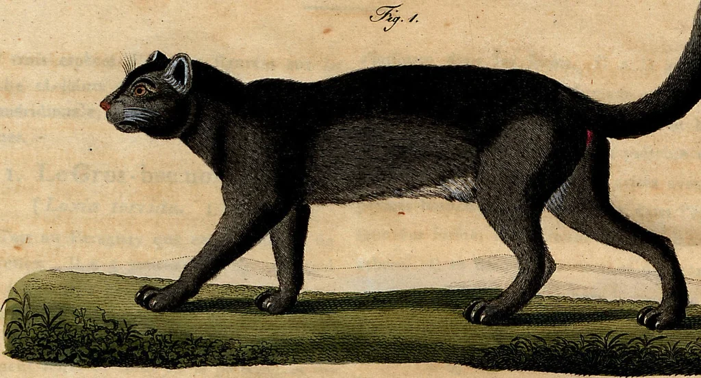 An illustration from (Band 8), 1813, leaf 252
