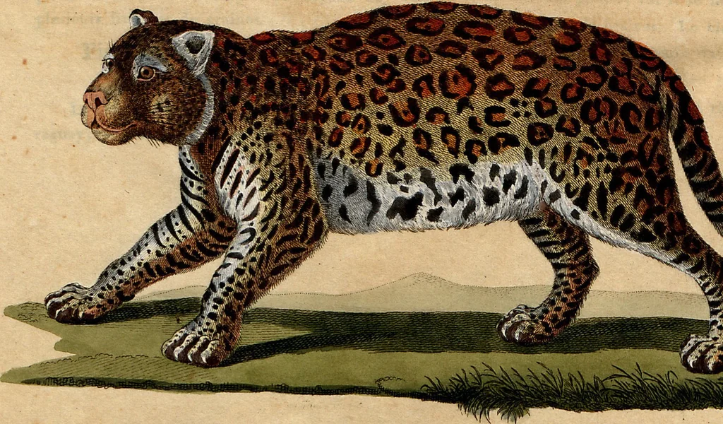 An illustration from (Band 8), 1813, leaf 252
