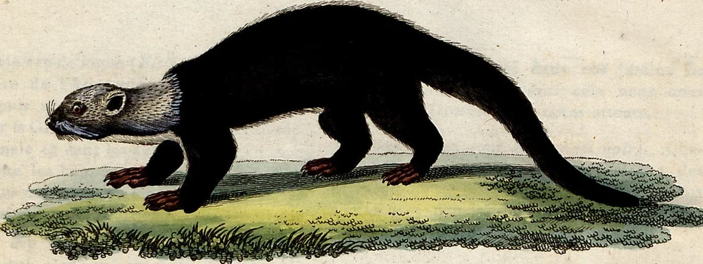 An illustration from (Band 8), 1813, leaf 258