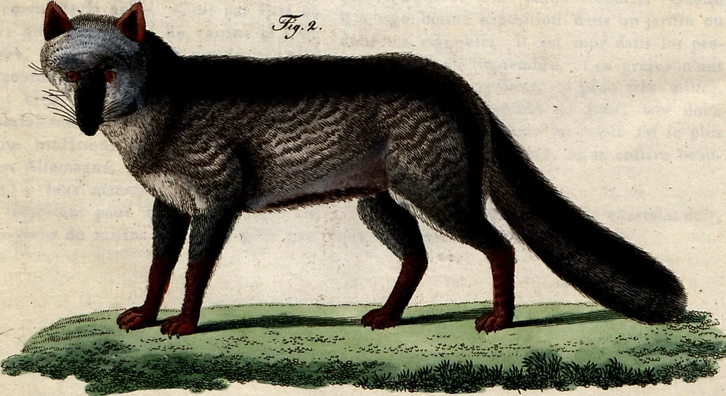 An illustration from (Band 8), 1813, leaf 258