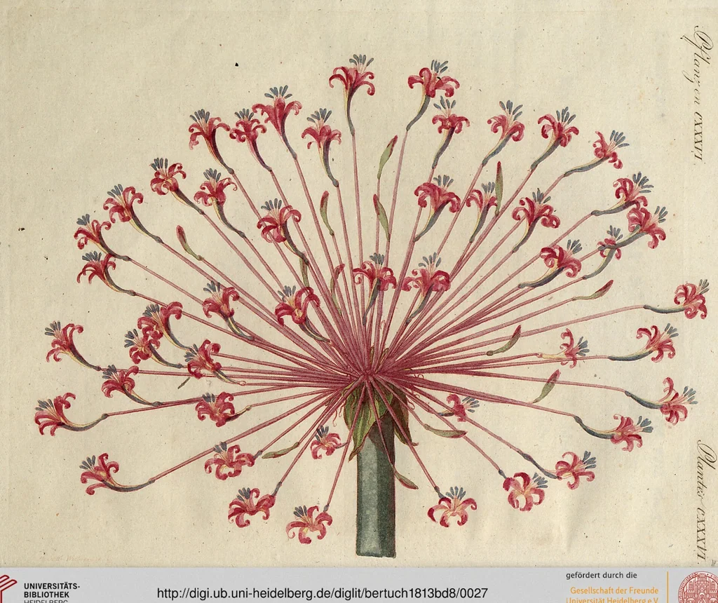 An illustration from (Band 8), 1813, leaf 27