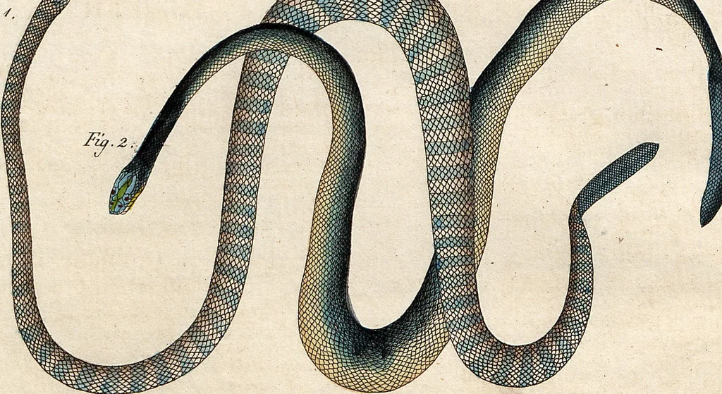 An illustration from (Band 8), 1813, leaf 60