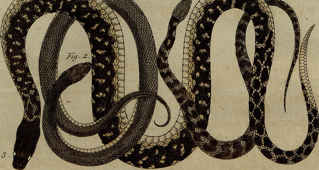 An illustration from (Band 8), 1813, leaf 87