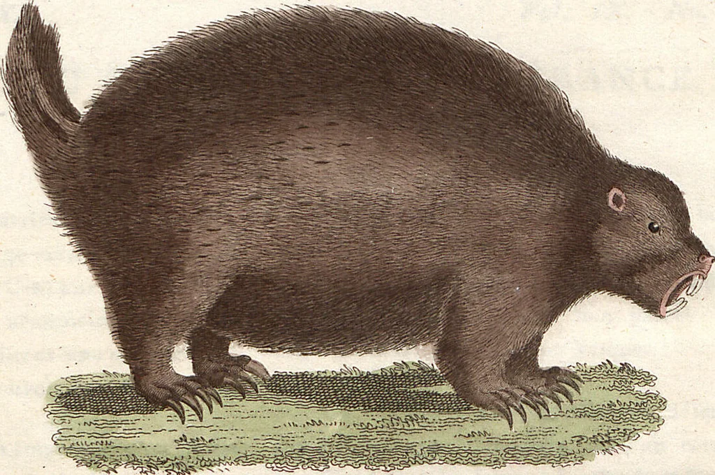 An illustration from (Band 9), 1816, leaf 108