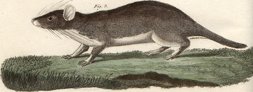 An illustration from (Band 9), 1816, leaf 108
