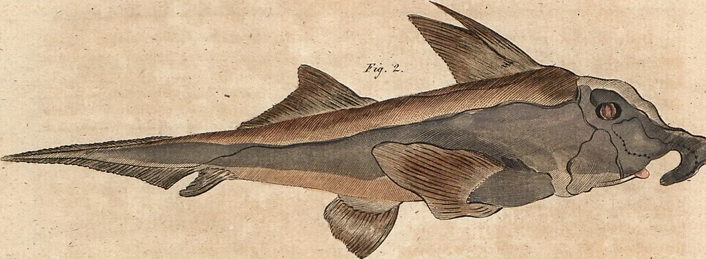 An illustration from (Band 9), 1816, leaf 12