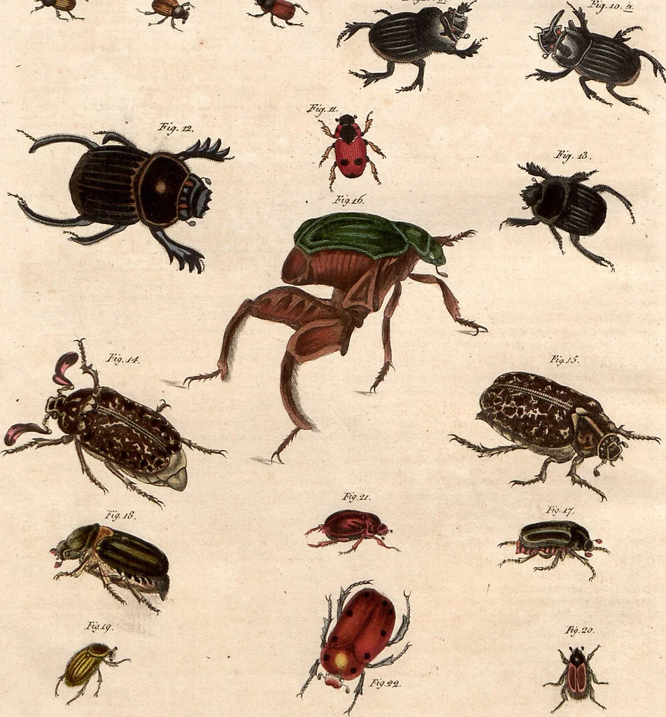 An illustration from (Band 9), 1816, leaf 129
