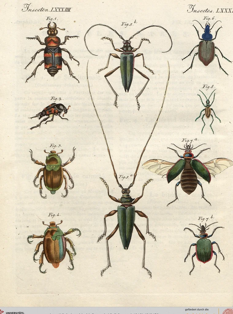 An illustration from (Band 9), 1816, leaf 159