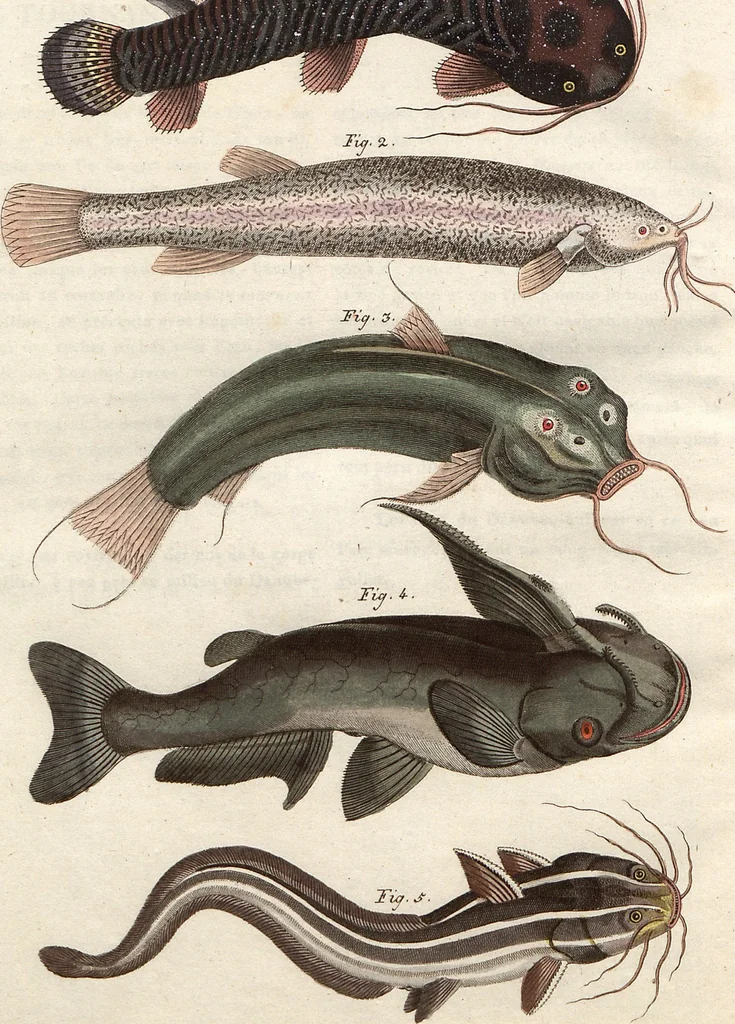 An illustration from (Band 9), 1816, leaf 168