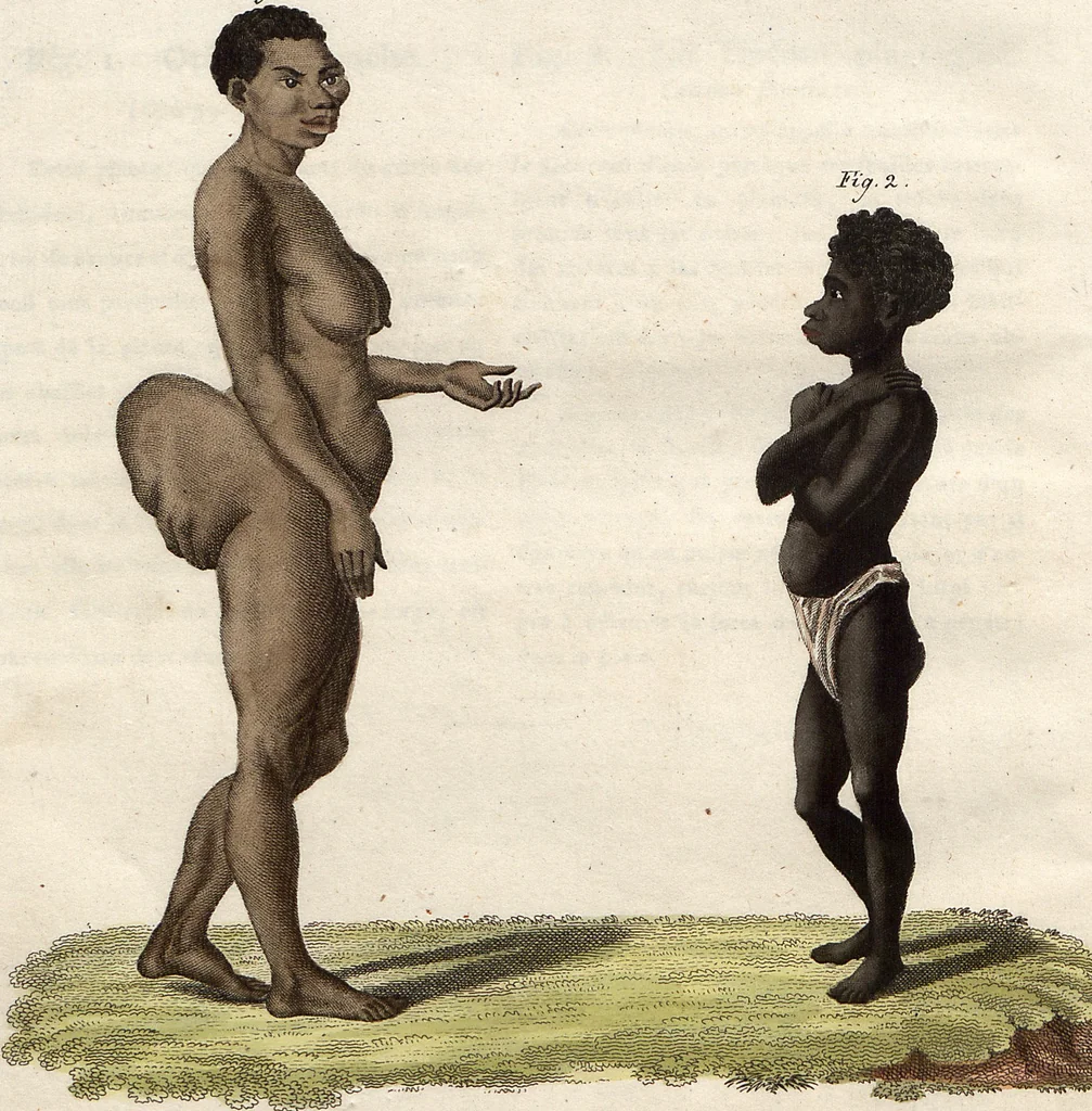 An illustration from (Band 9), 1816, leaf 177