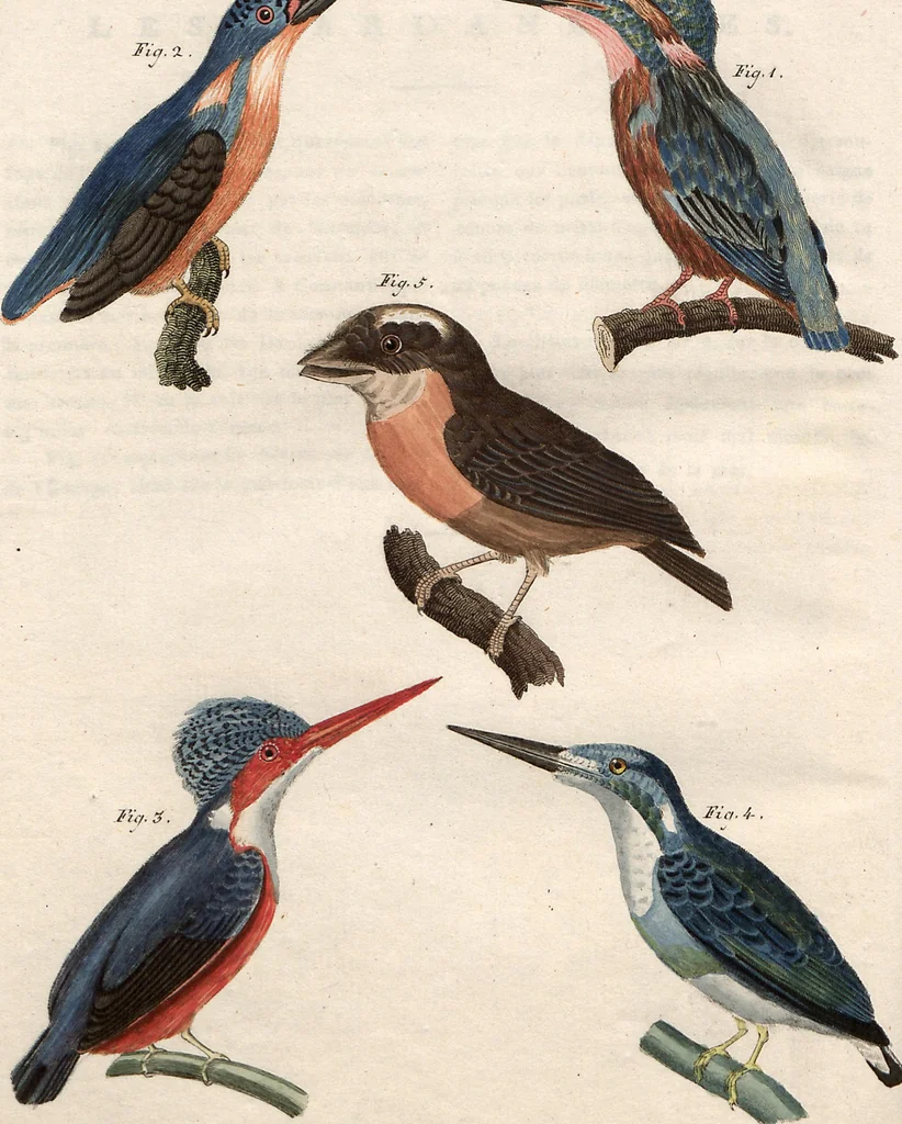 An illustration from (Band 9), 1816, leaf 198
