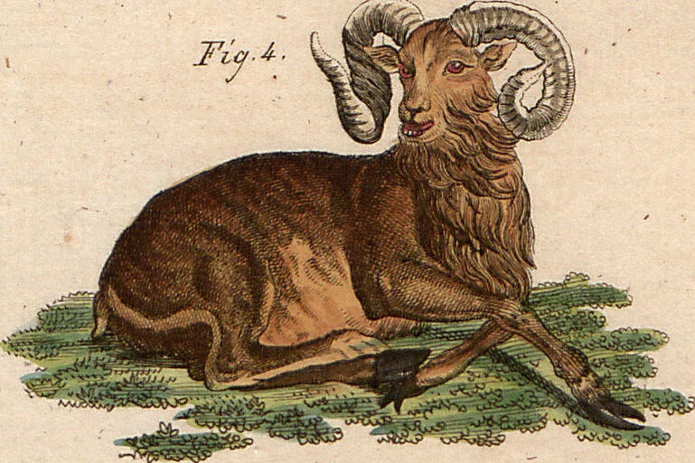 An illustration from (Band 9), 1816, leaf 213