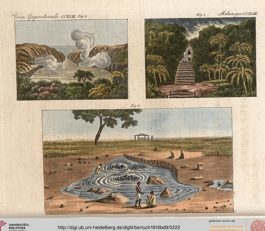 An illustration from (Band 9), 1816, leaf 222