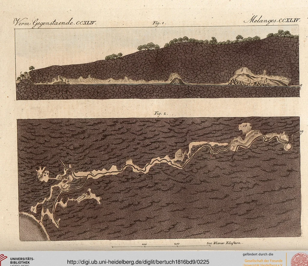 An illustration from (Band 9), 1816, leaf 225