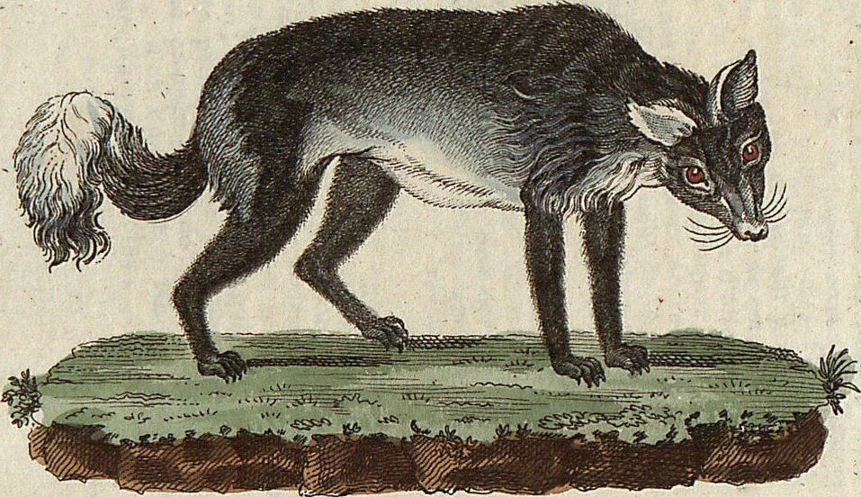 An illustration from (Band 9), 1816, leaf 228