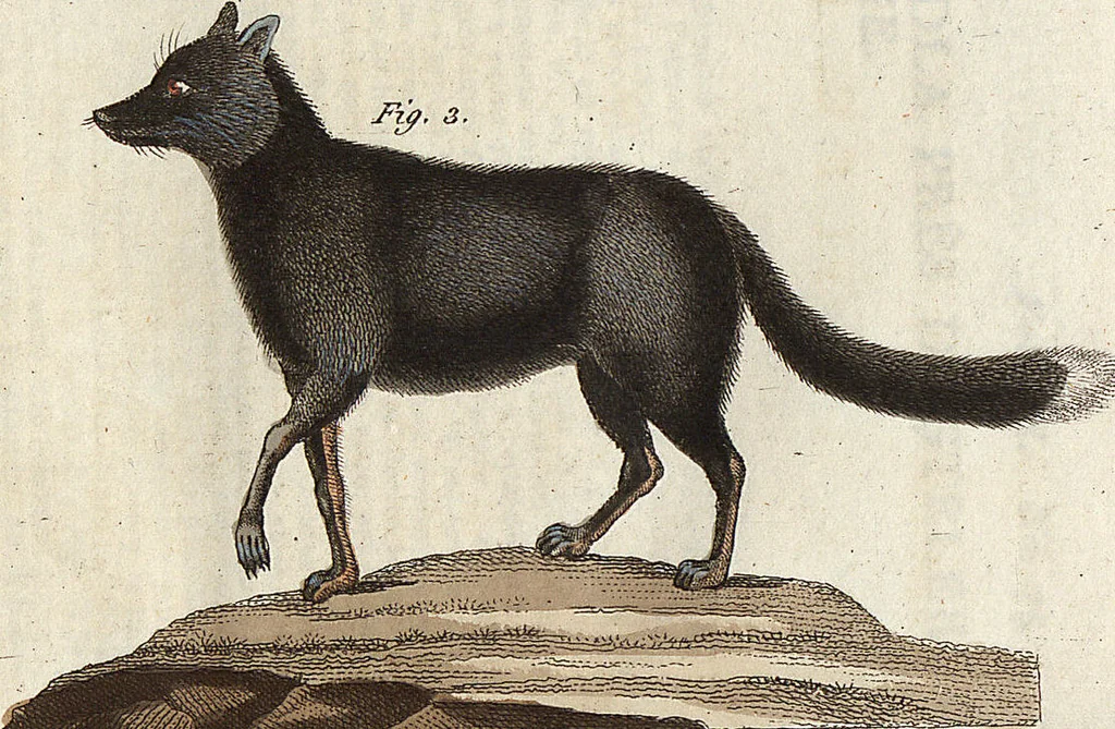 An illustration from (Band 9), 1816, leaf 228