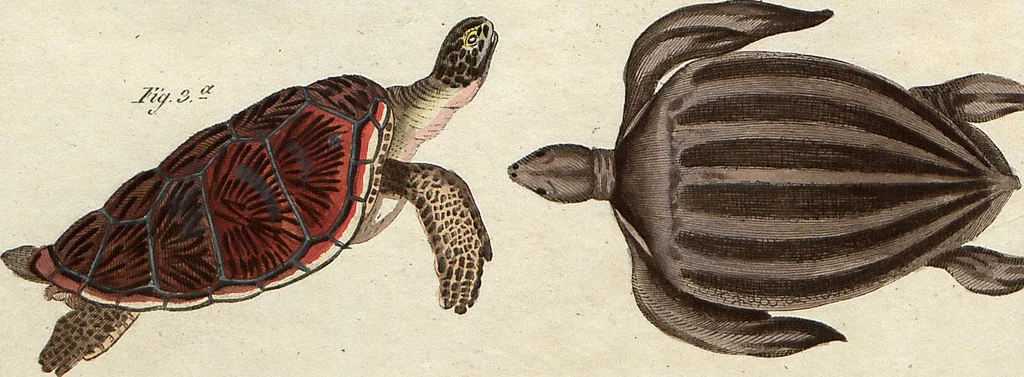 An illustration from (Band 9), 1816, leaf 249