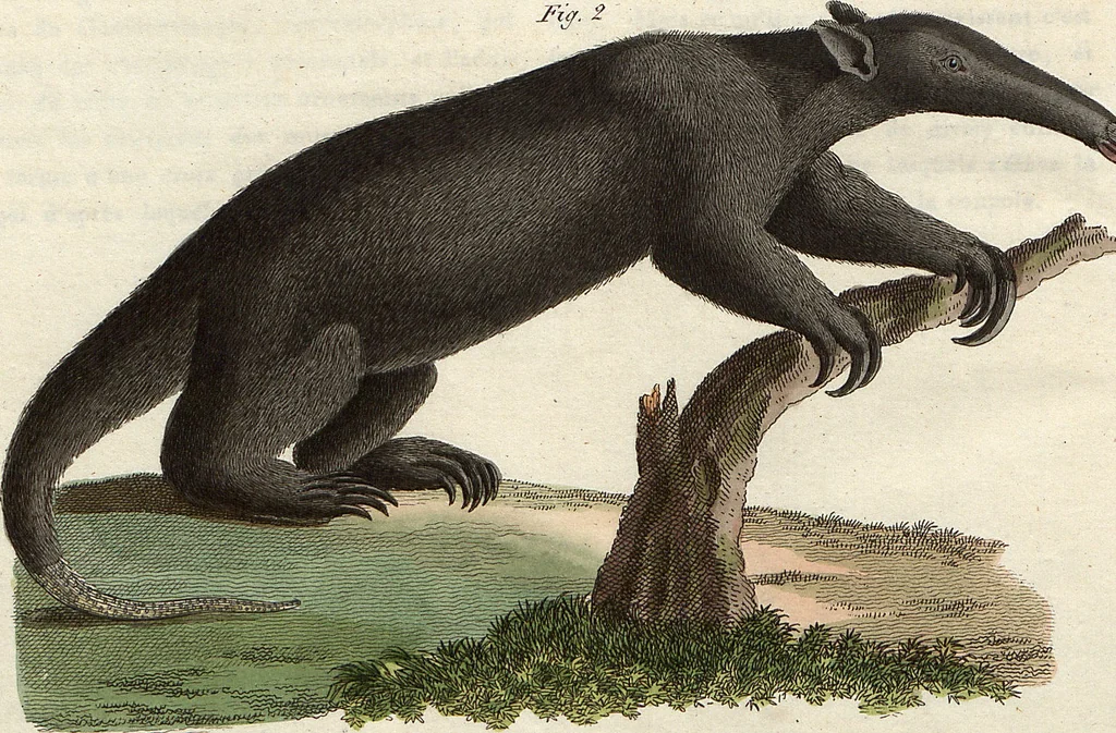 An illustration from (Band 9), 1816, leaf 258