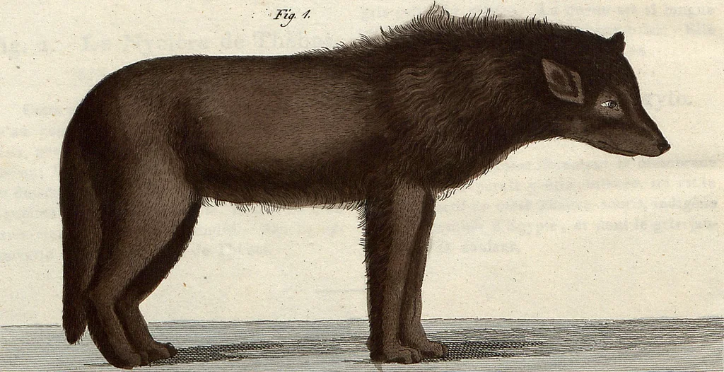 An illustration from (Band 9), 1816, leaf 279