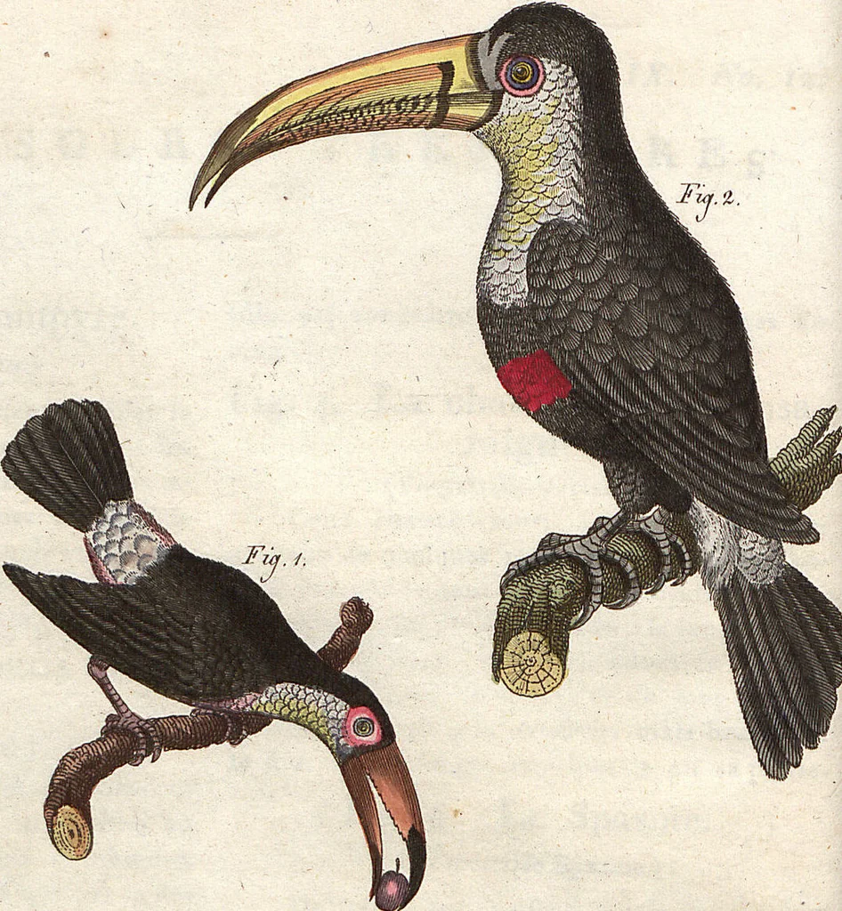 An illustration from (Band 9), 1816, leaf 39