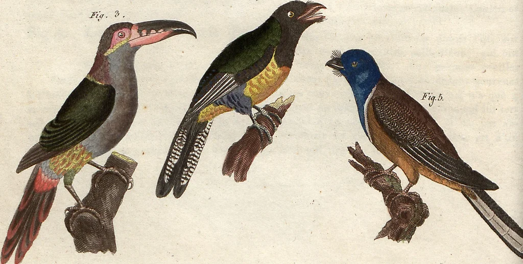 An illustration from (Band 9), 1816, leaf 39