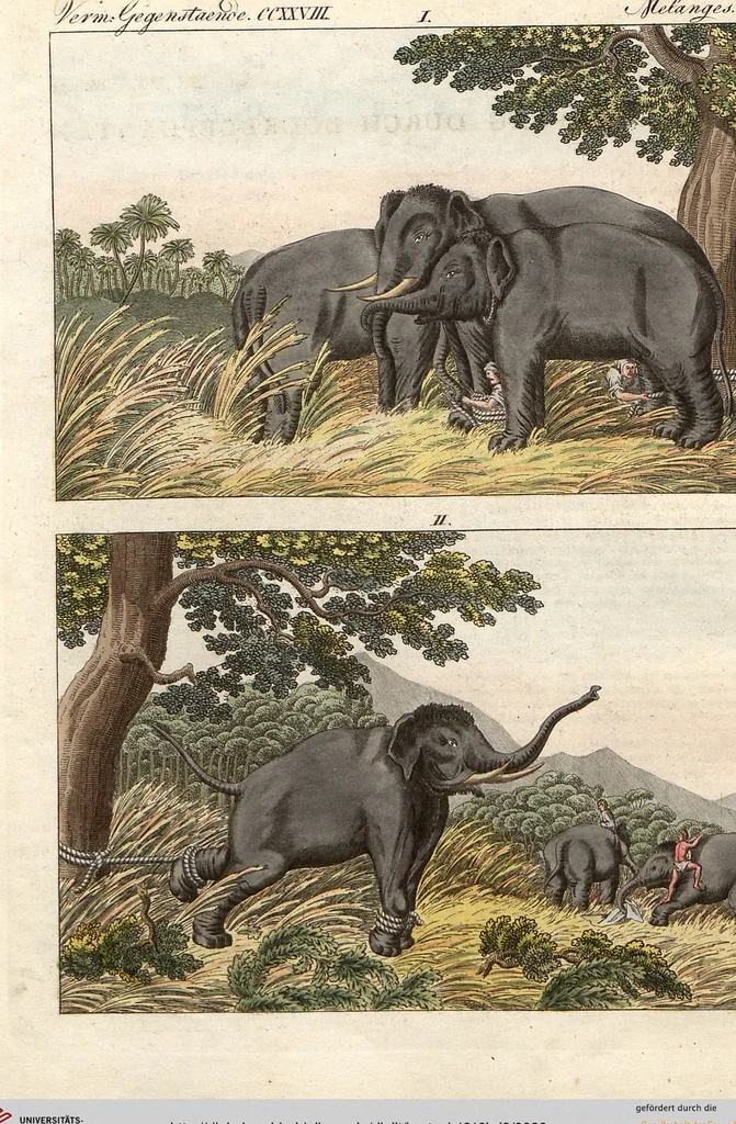 An illustration from (Band 9), 1816, leaf 90