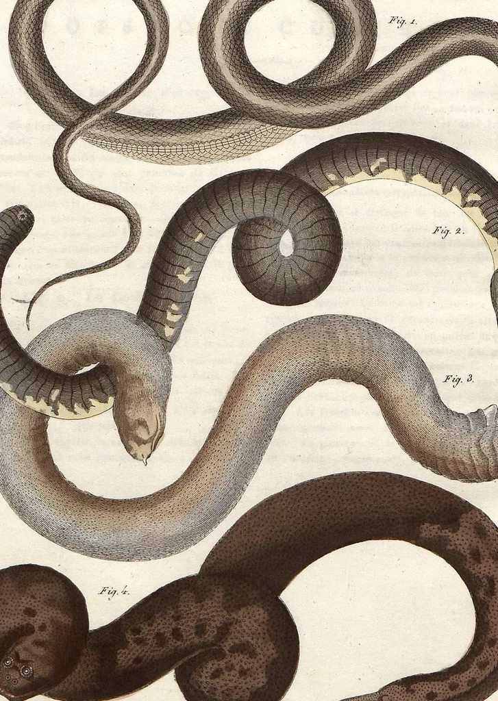 An illustration from (Band 9), 1816, leaf 99