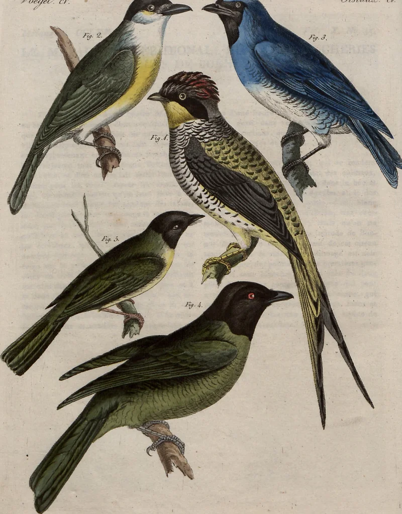 An illustration from (Band 10), 1821, leaf 108