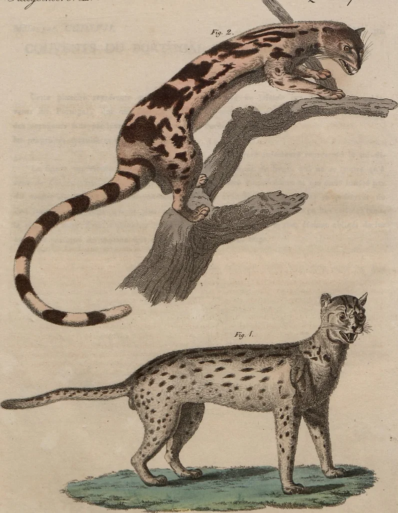 An illustration from (Band 10), 1821, leaf 123