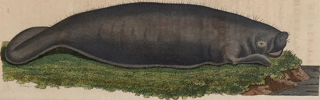 An illustration from (Band 10), 1821, leaf 138