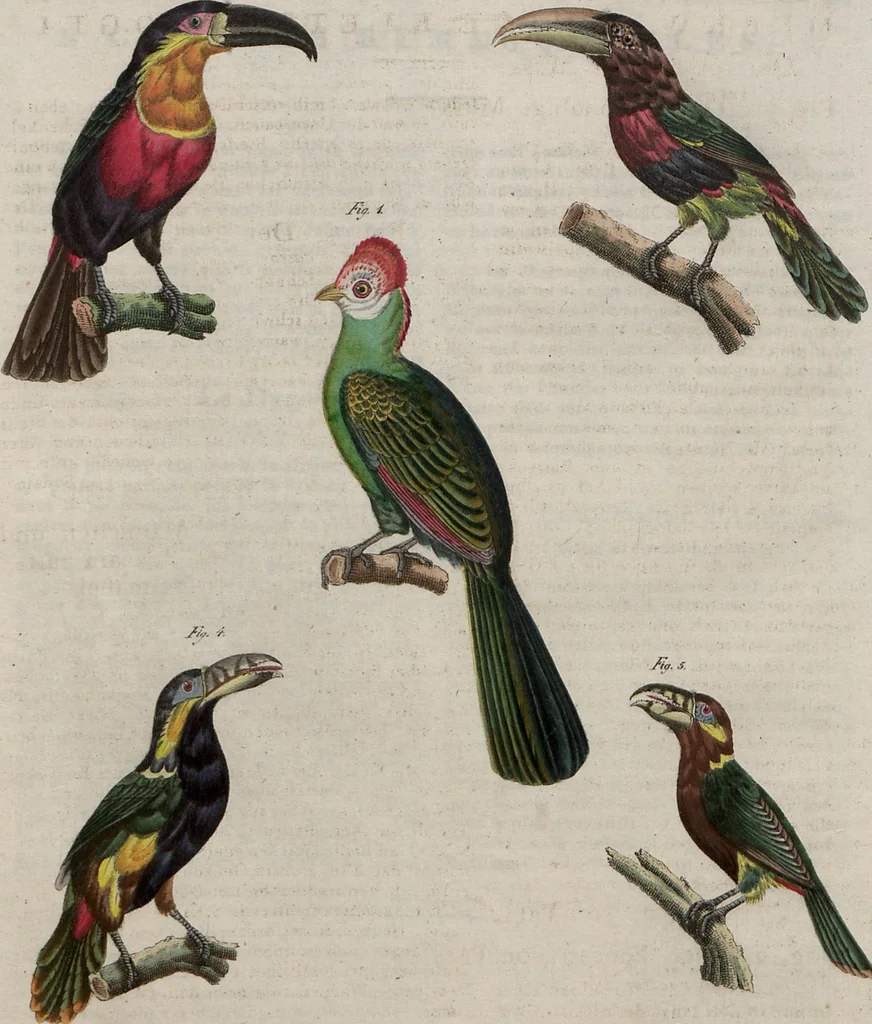 An illustration from (Band 10), 1821, leaf 141