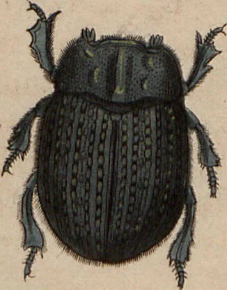An illustration from (Band 10), 1821, leaf 147