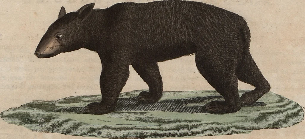 An illustration from (Band 10), 1821, leaf 153
