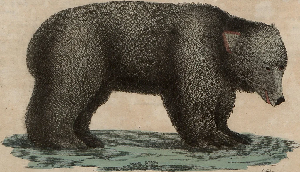 An illustration from (Band 10), 1821, leaf 153