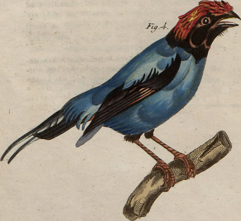 An illustration from (Band 10), 1821, leaf 156