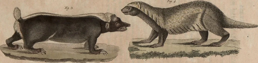 An illustration from (Band 10), 1821, leaf 168