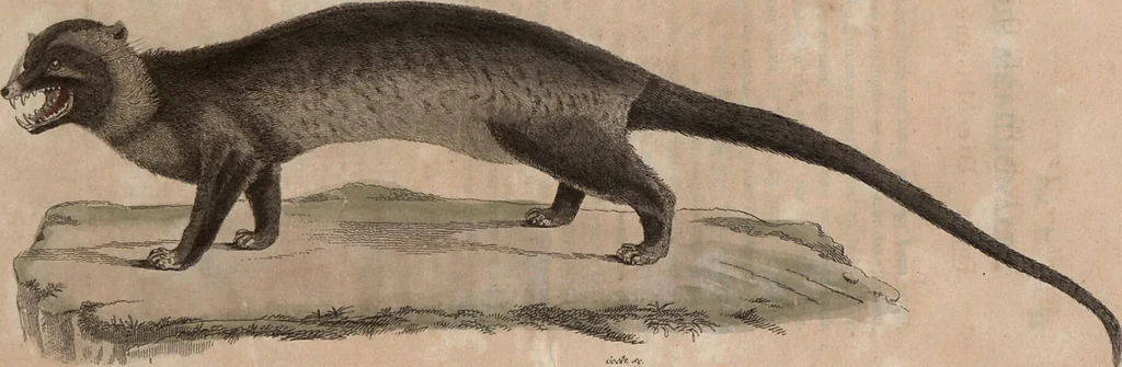 An illustration from (Band 10), 1821, leaf 168